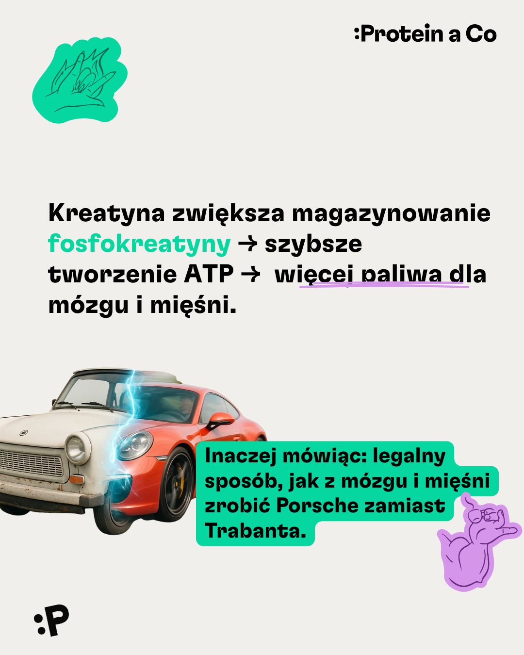 Monohydrat kreatyny-1-PL-clanek-vyziva-proteinaco